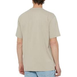 Camiseta  Dickies Aitkin Chest