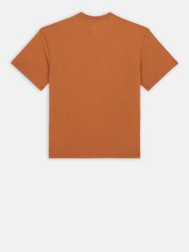 Camiseta Dickies Dumfries Sleeve  marrón