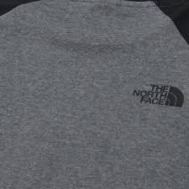 Camiseta  The North Face  Raglan Easy Gris