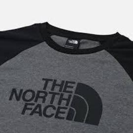 Camiseta  The North Face  Raglan Easy Gris