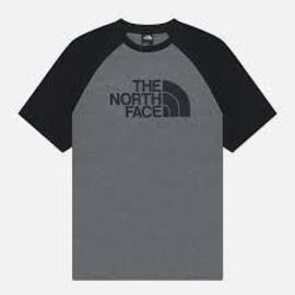 Camiseta  The North Face  Raglan Easy Gris