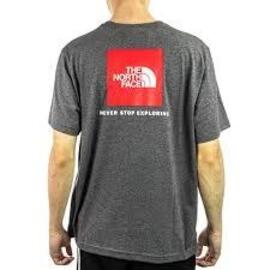 Camiseta  The North Face  Red Box  Gris