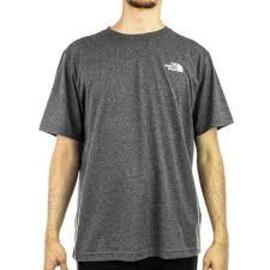 Camiseta  The North Face  Red Box  Gris