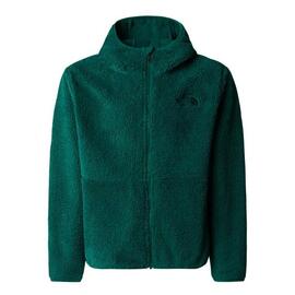 Forro Polar niños The North Face Campshire  Verde